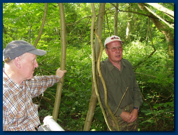 600x449 pixels (190K)